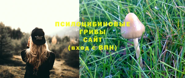 твердый Белоозёрский