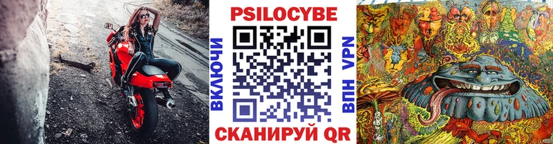 Купить где  Нурлат  Галлюциногенные грибы Cubensis 